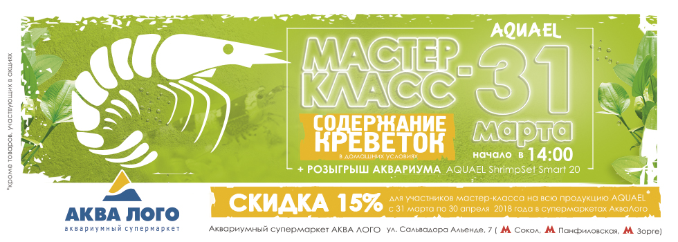 31 марта в Аква Лого на Соколе пройдет мастер-класс Содержание креветок в аквариуме